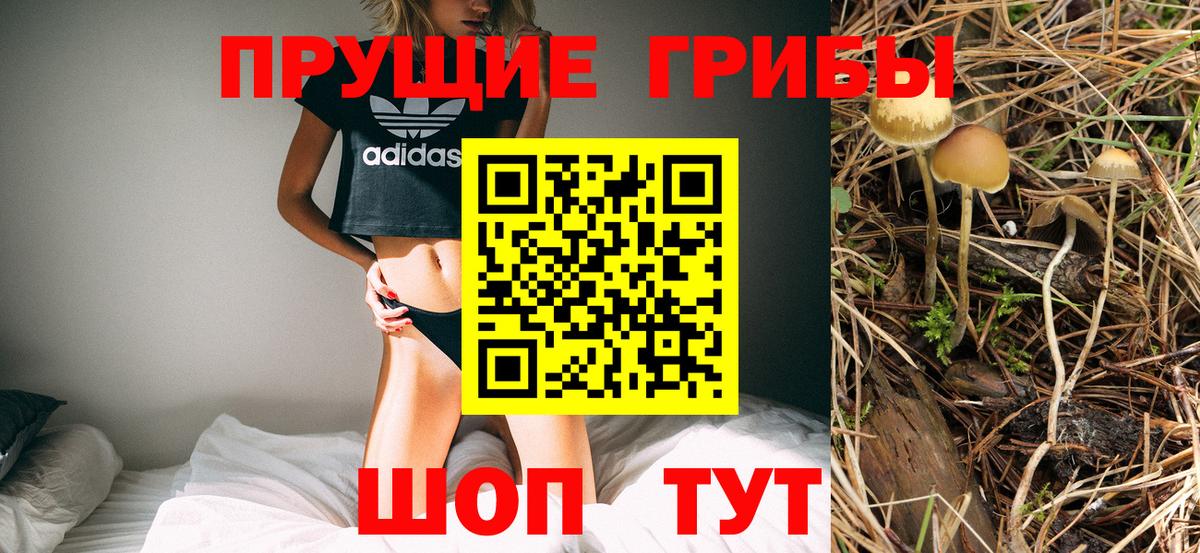 Псилоцибиновые грибы GOLDEN TEACHER Новоалтайск